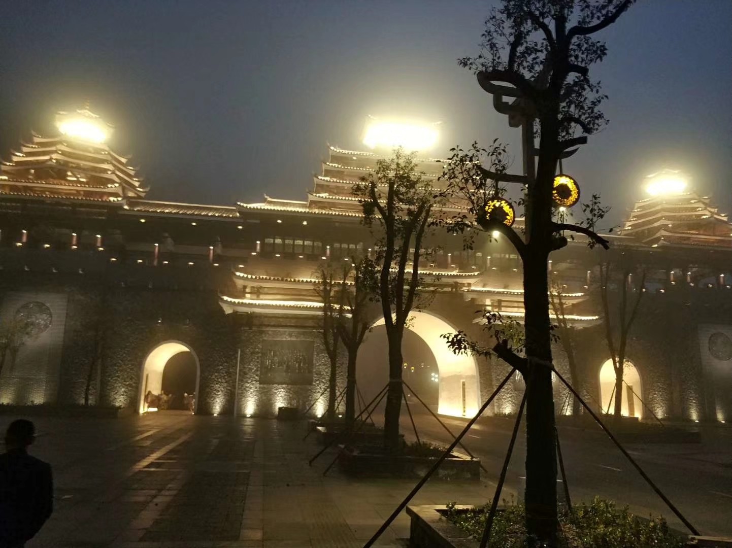 青海省互助县油嘴湾花海夜景亮化工程